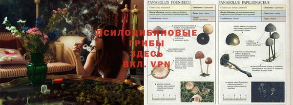 кокаин колумбия Алексин