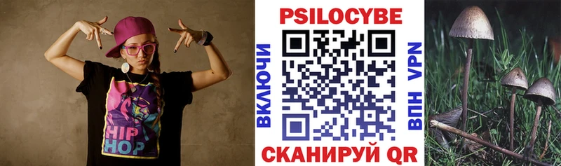 где продают   Тимашёвск  Псилоцибиновые грибы мицелий 